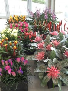 Floriade