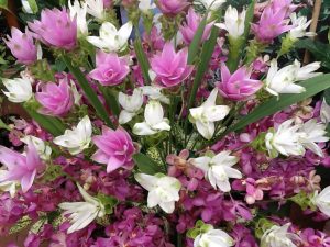 Floriade