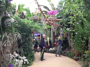 Floriade