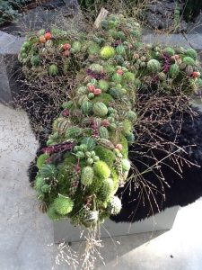 Floriade