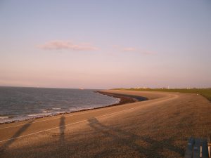 เกาะ texel